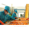 Industrial fruit vegetable carrot puree machine
